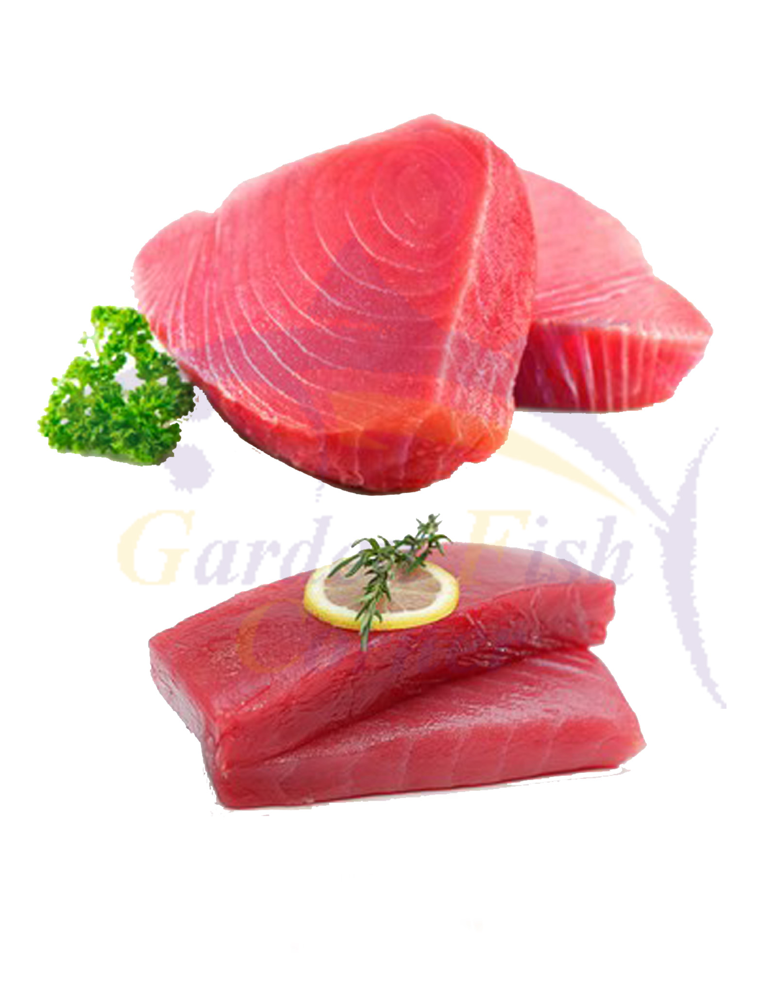 Tuna Fish (Dawan)