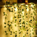 Premium Quality Bulbs and Leaves 10 Feet Fairy Light & 6 Feet Artificial Leaves Length