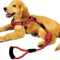 Harness Lead For Dogs S M L RED