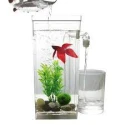 LED Mini Fish Tank Aquarium Self Cleaning Fish Tank Bowl Convenient Desk Aquarium for Office Home Decoration Pet Accessories