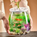 Fish Bowls for Ornament Table Centerpiece Pot Belly