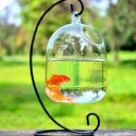 Aquarium Fighter fish glass jar with plastic lid 6 inch Mini aquarium fish bowl 1 pcs with stone & plant