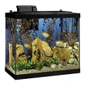 Tetra Aquarium 20 Gallon Fish Tank Kit Includes LED Lighting and Decor
