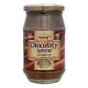 Young's Chocolaty Spread 380g
