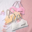 Pack of 3 Padded Cotton Sport Bra For Girls Womens