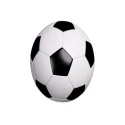 Standard Size Leather Football Black And White Double star