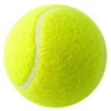 BWS Tennis Ball Durable Elasticity