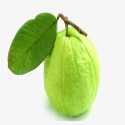 Guava (Amrood) 1kg