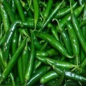 Green Small Chilli (Choti Hari Mirch) 500g