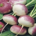 Shaljam (Turnip) Vegetable 500g