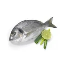 Seabream Fish (Safaid dandia)