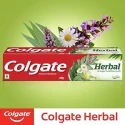 Colgate Herbal Toothpaste 100g