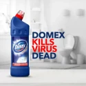 Domex Toilet Cleaner 250ML