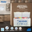 Haier Freezer HDF-325 H (Twin Series)