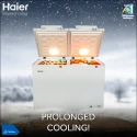 Haier Freezer HDF-320 (Twin Series)